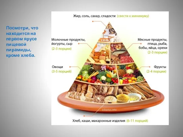Посмотри, что находится на первом ярусе пищевой пирамиды, кроме хлеба.