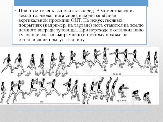 При этом голень выносится вперед. В момент касания земли толчковая нога снова