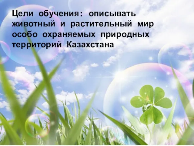 Цели обучения: описывать животный и растительный мир особо охраняемых природных территорий Казахстана