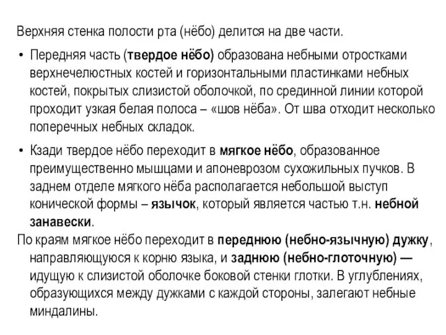 Верхняя стенка полости рта (нёбо) делится на две части. Передняя часть (твердое