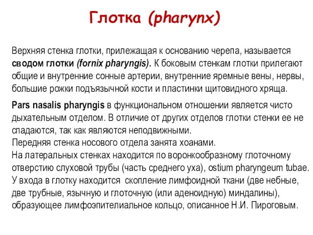 Верхняя стенка глотки, прилежащая к основанию черепа, называется сводом глотки (fornix pharyngis).