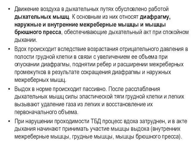 Движение воздуха в дыхательных путях обусловлено работой дыхательных мышц. К основным из