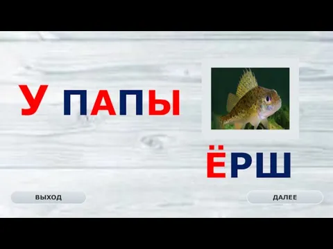 ЁРШ ДАЛЕЕ ВЫХОД У ПАПЫ