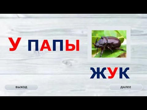 ЖУК ДАЛЕЕ ВЫХОД У ПАПЫ