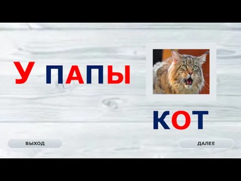 КОТ ДАЛЕЕ ВЫХОД У ПАПЫ