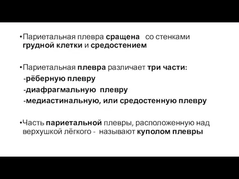 Париетальная плевра сращена со стенками грудной клетки и средостением Париетальная плевра различает