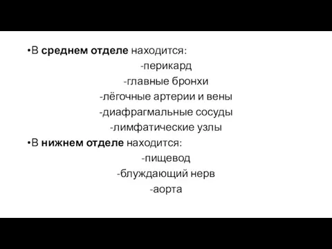 В среднем отделе находится: -перикард -главные бронхи -лёгочные артерии и вены -диафрагмальные