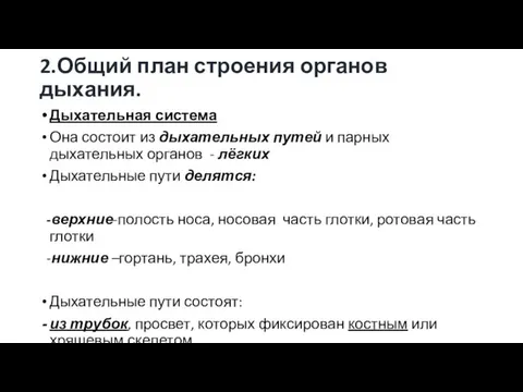 2.Общий план строения органов дыхания. Дыхательная система Она состоит из дыхательных путей