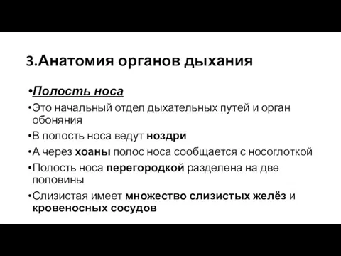 3.Анатомия органов дыхания Полость носа Это начальный отдел дыхательных путей и орган