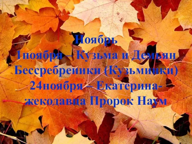 Ноябрь 1ноября – Кузьма и Демьян Бессребреники (Кузьминки) 24ноября – Екатерина- жекодавца Пророк Наум