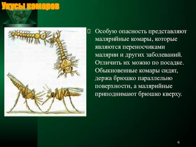 Особую опасность представляют малярийные комары, которые являются переносчиками малярии и других заболеваний.