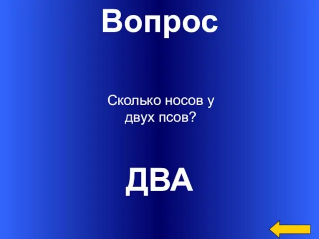 Вопрос ДВА Сколько носов у двух псов?