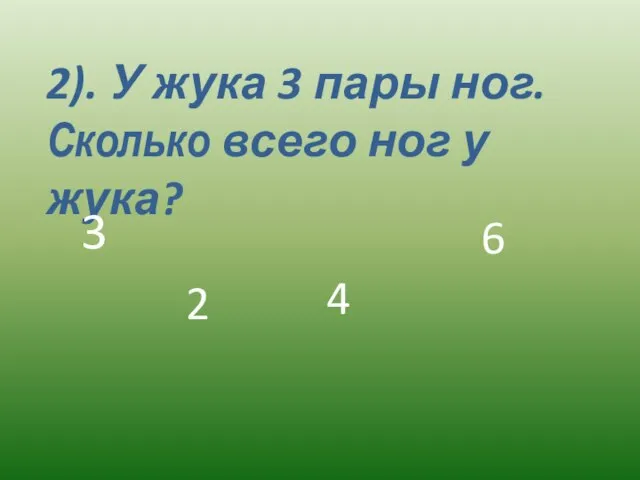 2). У жука 3 пары ног. Сколько всего ног у жука? 3 2 4 6