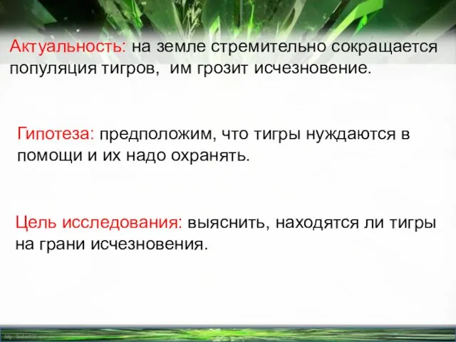 Актуальность: на земле стремительно сокращается популяция тигров, им грозит исчезновение. Гипотеза: предположим,