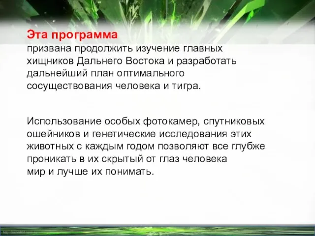 Эта программа призвана продолжить изучение главных хищников Дальнего Востока и разработать дальнейший