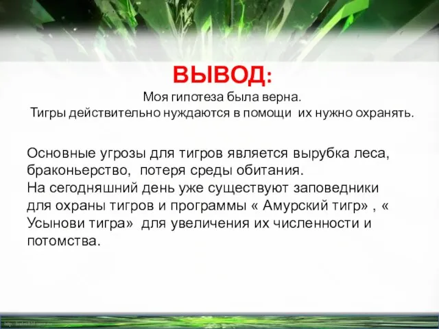 ВЫВОД: Моя гипотеза была верна. Тигры действительно нуждаются в помощи их нужно