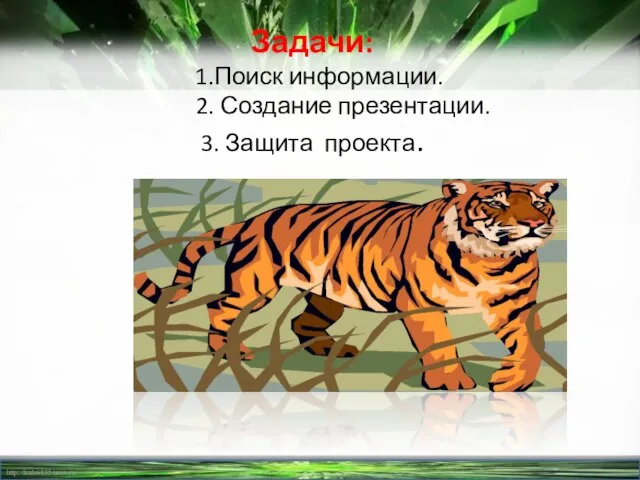 Задачи: 1.Поиск информации. 2. Создание презентации. 3. Защита проекта.