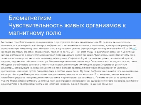 Биомагнетизм Чувствительность живых организмов к магнитному полю Магнитное поле Земли служит для