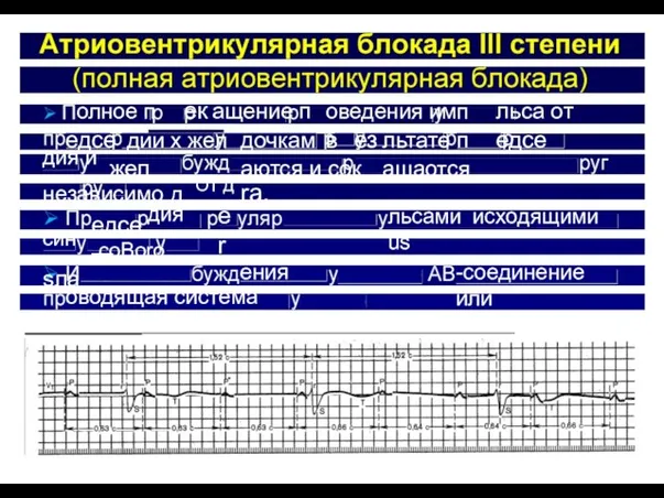 едсе дия — син coBoro sлa er ения жел оводящая система жел