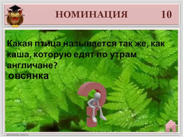 НОМИНАЦИЯ 10 овсянка Какая птица называется так же, как каша, которую едят по утрам англичане?