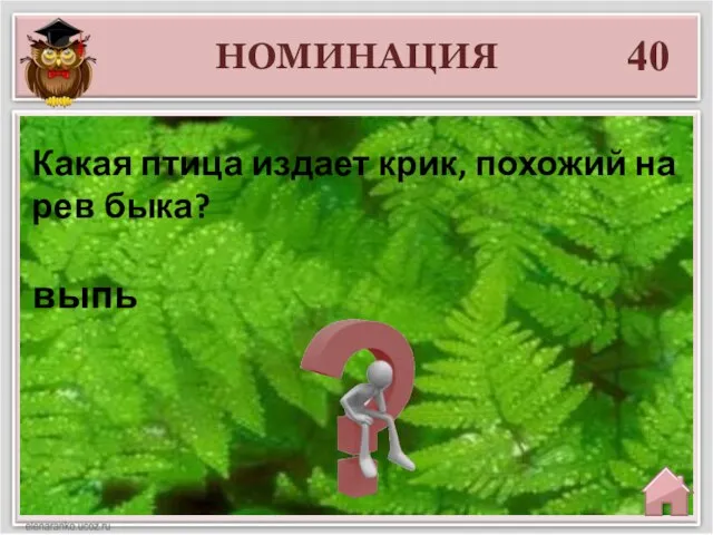 НОМИНАЦИЯ 40 выпь Какая птица издает крик, похожий на рев быка?