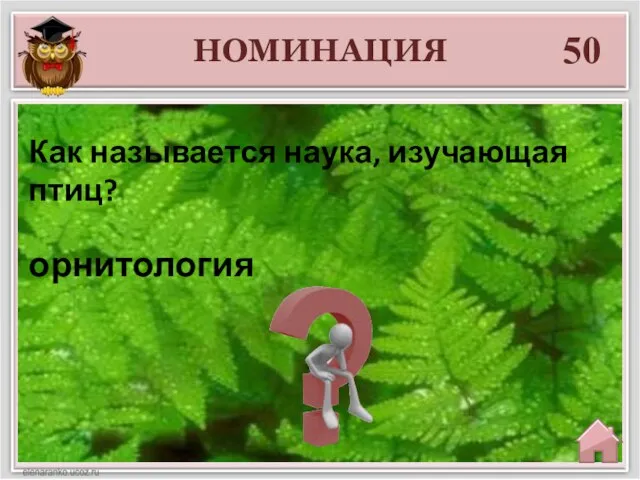 НОМИНАЦИЯ 50 орнитология Как называется наука, изучающая птиц?