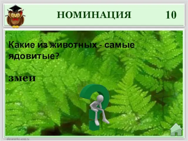 НОМИНАЦИЯ 10 змеи Какие из животных - самые ядовитые?