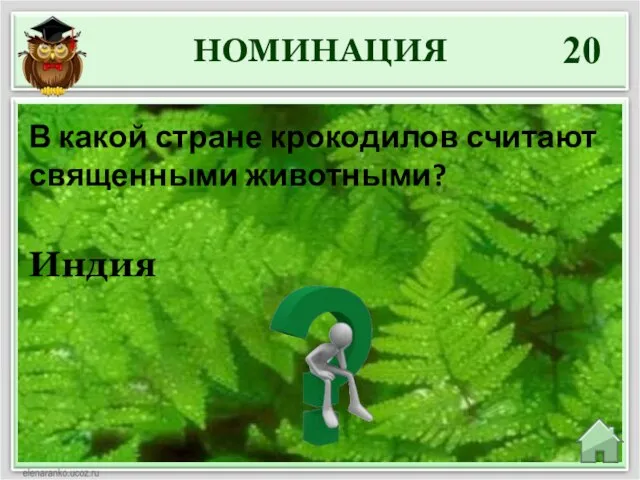 НОМИНАЦИЯ 20 Индия В какой стране крокодилов считают священными животными?