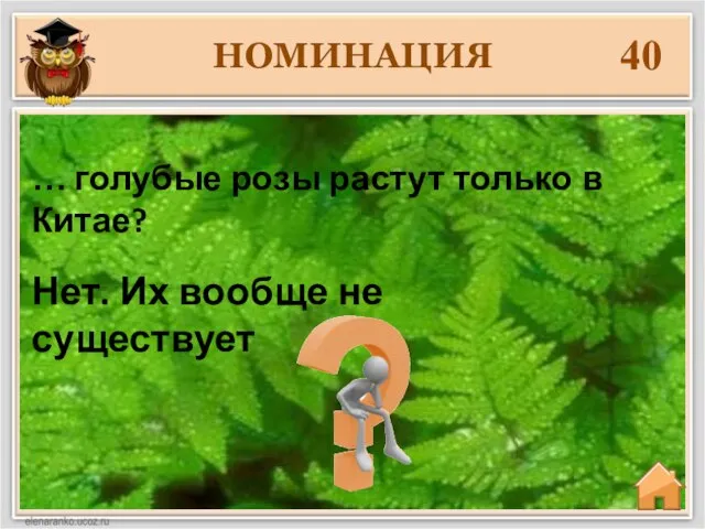 НОМИНАЦИЯ 40 Нет. Их вообще не существует … голубые розы растут только в Китае?