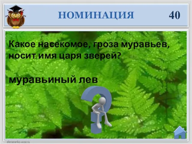 муравьиный лев Какое насекомое, гроза муравьев, носит имя царя зверей? НОМИНАЦИЯ 40