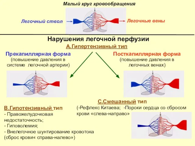 Нарушения легочной перфузии В.Гипотензивный тип - Правожелудочковая недостаточность; - Гиповолемия; - Внелегочное