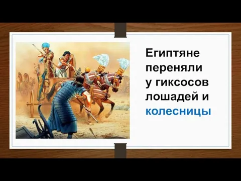 Египтяне переняли у гиксосов лошадей и колесницы