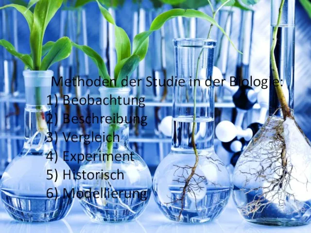 Methoden der Studie in der Biologie: Beobachtung Beschreibung Vergleich Experiment Historisch Modellierung