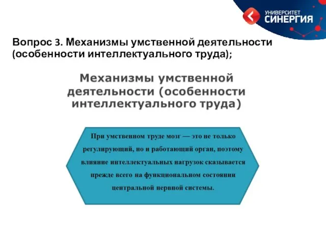 Вопрос 3. Механизмы умственной деятельности (особенности интеллектуального труда);