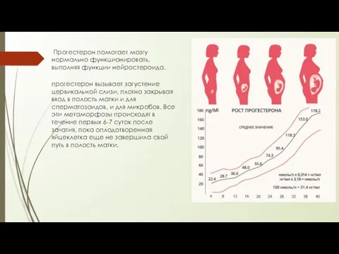 Прогестерон помогает мозгу нормально функционировать, выполняя функции нейростероида. прогестерон вызывает загустение цервикальной