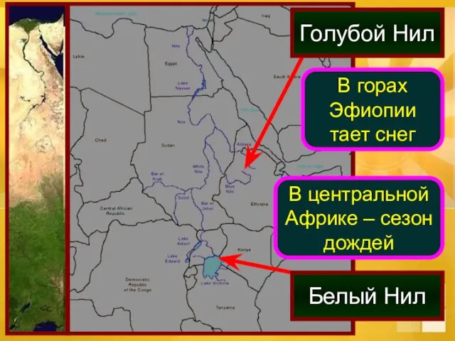 В горах Эфиопии тает снег В центральной Африке – сезон дождей Голубой Нил Белый Нил