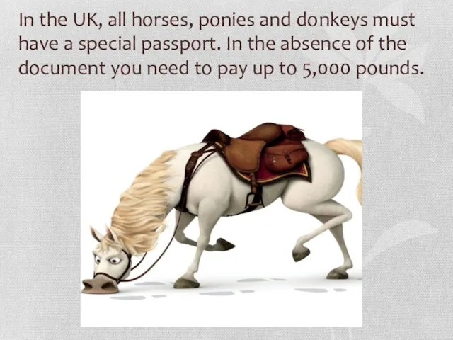 In the UK, all horses, ponies and donkeys must have a special