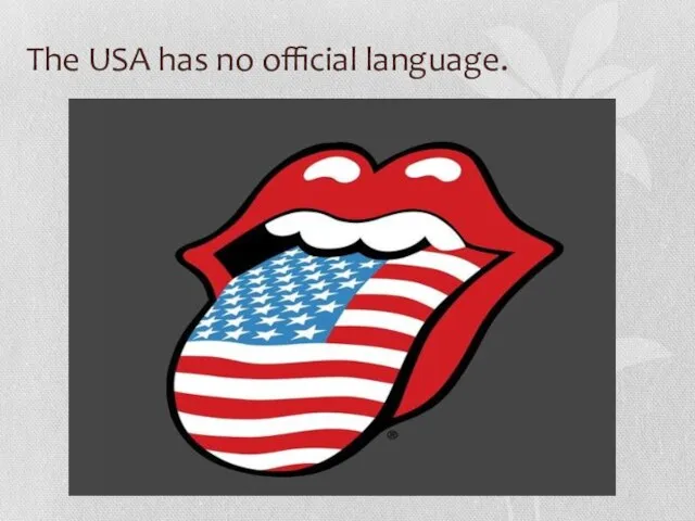 The USA has no official language.