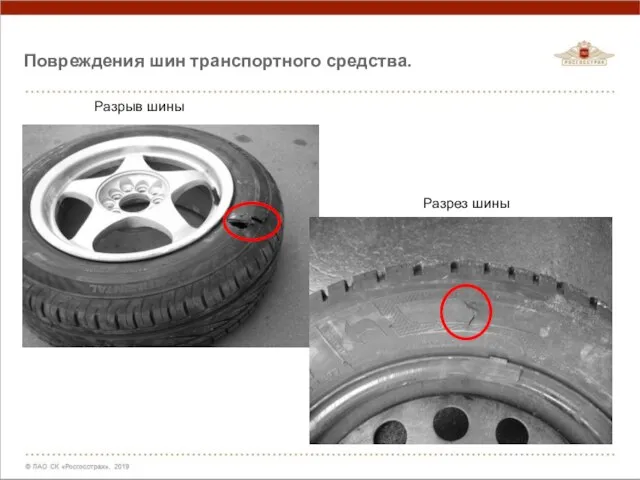 Разрыв шины Разрез шины Повреждения шин транспортного средства.