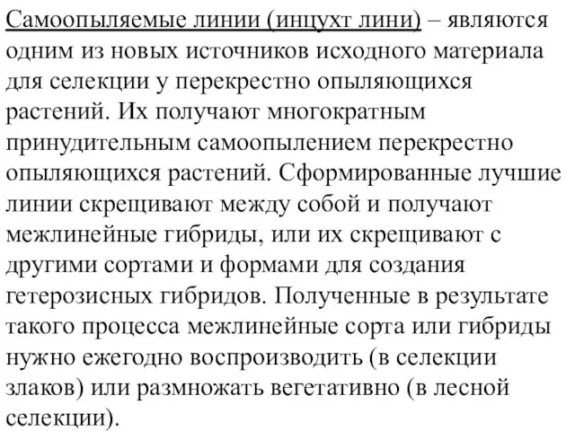 Самоопыляемые линии (инцухт лини) – являются одним из новых источников исходного материала