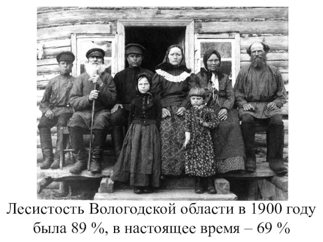 Лесистость Вологодской области в 1900 году была 89 %, в настоящее время – 69 %