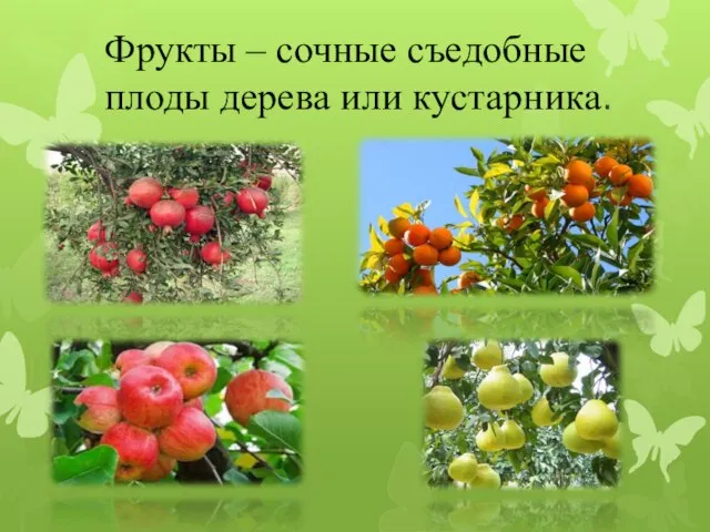 Фрукты – сочные съедобные плоды дерева или кустарника.