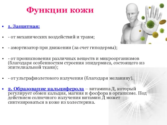 Функции кожи 1. Защитная: - от механических воздействий и травм; - амортизатор