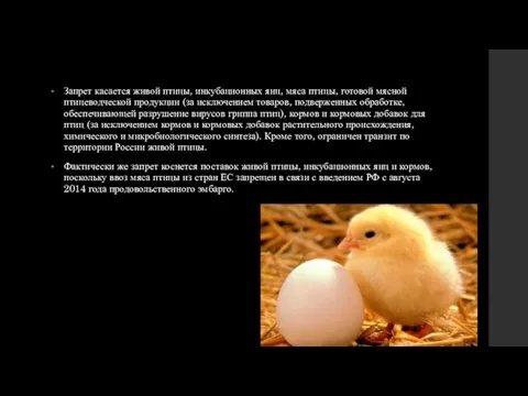Запрет касается живой птицы, инкубационных яиц, мяса птицы, готовой мясной птицеводческой продукции