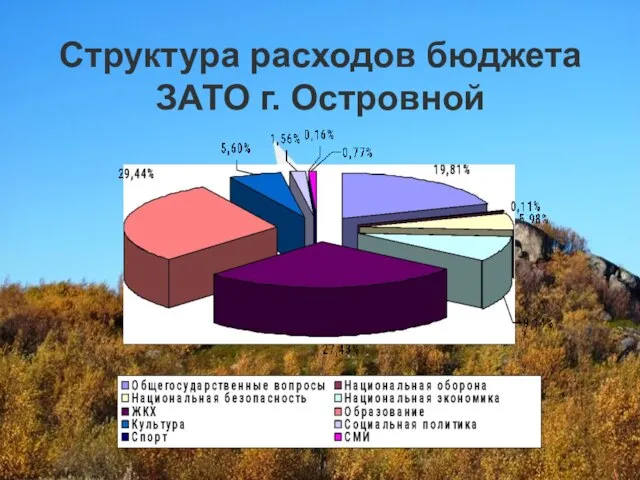 Структура расходов бюджета ЗАТО г. Островной