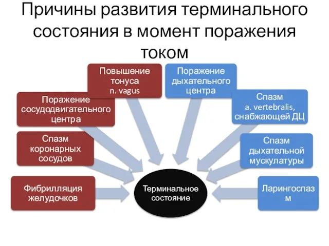 Причины развития терминального состояния в момент поражения током