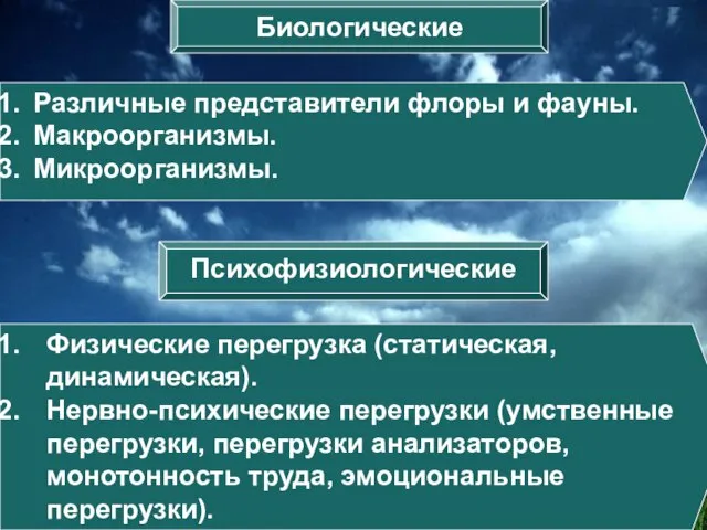 Биологические Психофизиологические Различные представители флоры и фауны. Макроорганизмы. Микроорганизмы. Физические перегрузка (статическая,