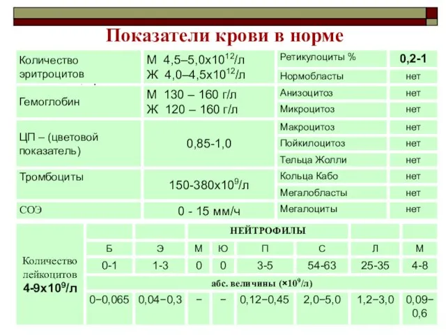 Показатели крови в норме