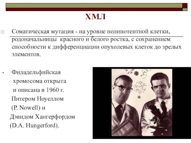 Соматическая мутация - на уровне полипотентной клетки, родоначальницы красного и белого ростка,