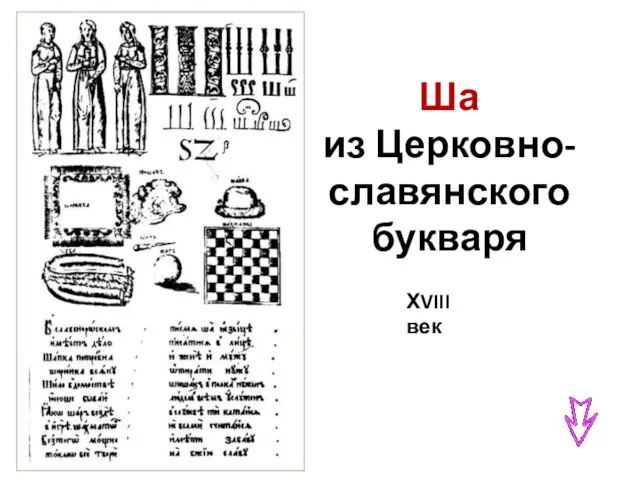 Ша из Церковно-славянского букваря ХVIII век